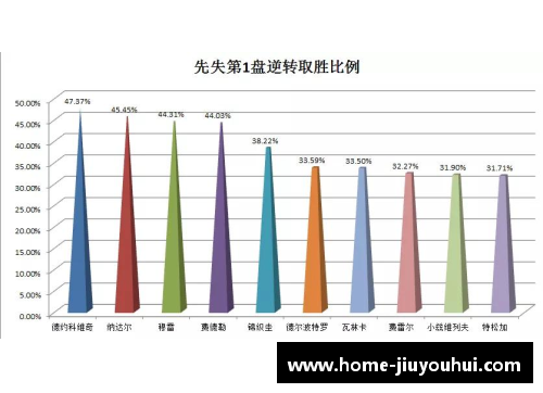 ATP球员数据统计与分析：全方位探索巅峰表现